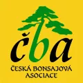 Česká bonsajová asociace