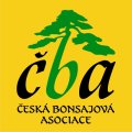 Česká bonsajová asociace