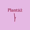 Kulturní plantáž Blatná