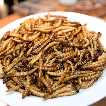 Gastronomický festival Extreme Food Festival