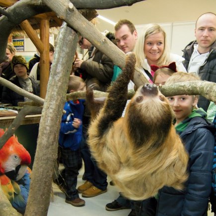 Veletrh Tourism Expo