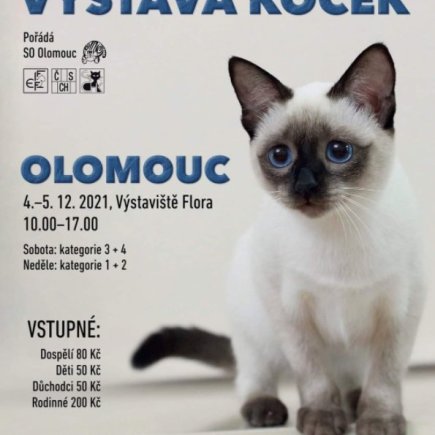 Mezinárodní výstava koček Olomouc 2021
