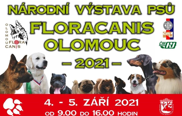 NÁRODNÍ VÝSTAVA PSŮ FLORACANIS OLOMOUC 2021