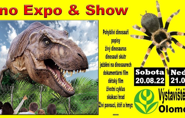 Dino Expo & Show & Spiders