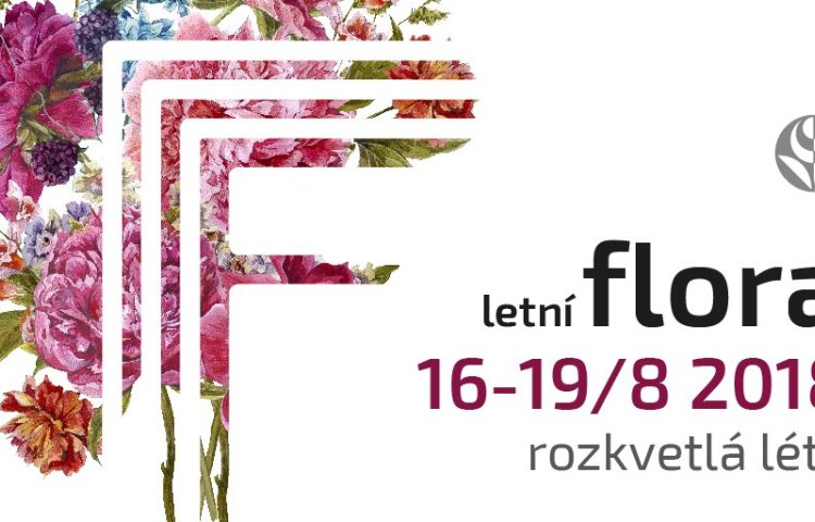 FLORA
OLOMOUC
2018, letní etapa
