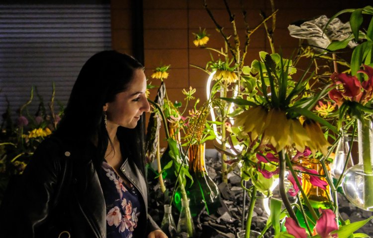 Večerní prohlídka Flora Olomouc 2025