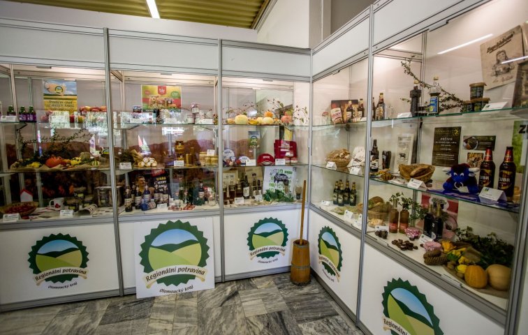 OLIMA 2019