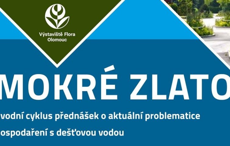 MOKRÉ ZLATO