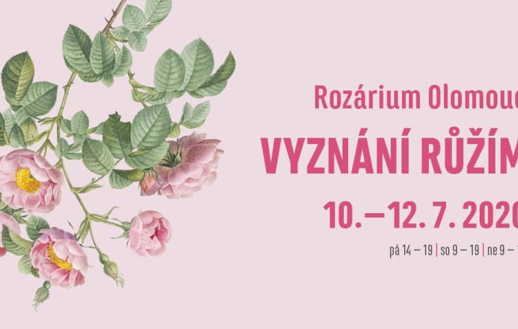 Vyznání růžím 