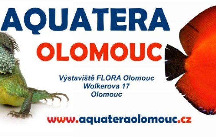 Aquatera Olomouc