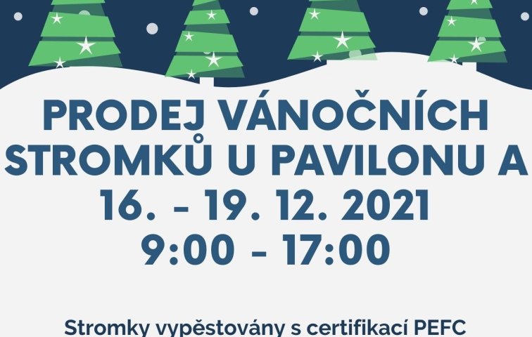 Prodej vánočních stromků a jmelí