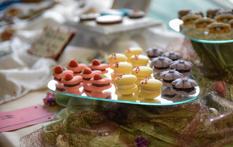 Olima 2024 - festival gastronomie a nápojů