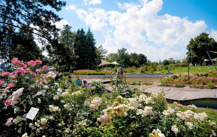 Vyznání růžím 2026