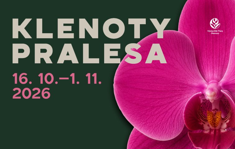 Klenoty pralesa 2026