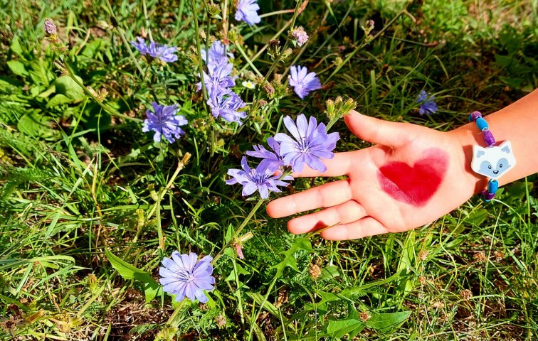 Bylinkobraní Olomouc